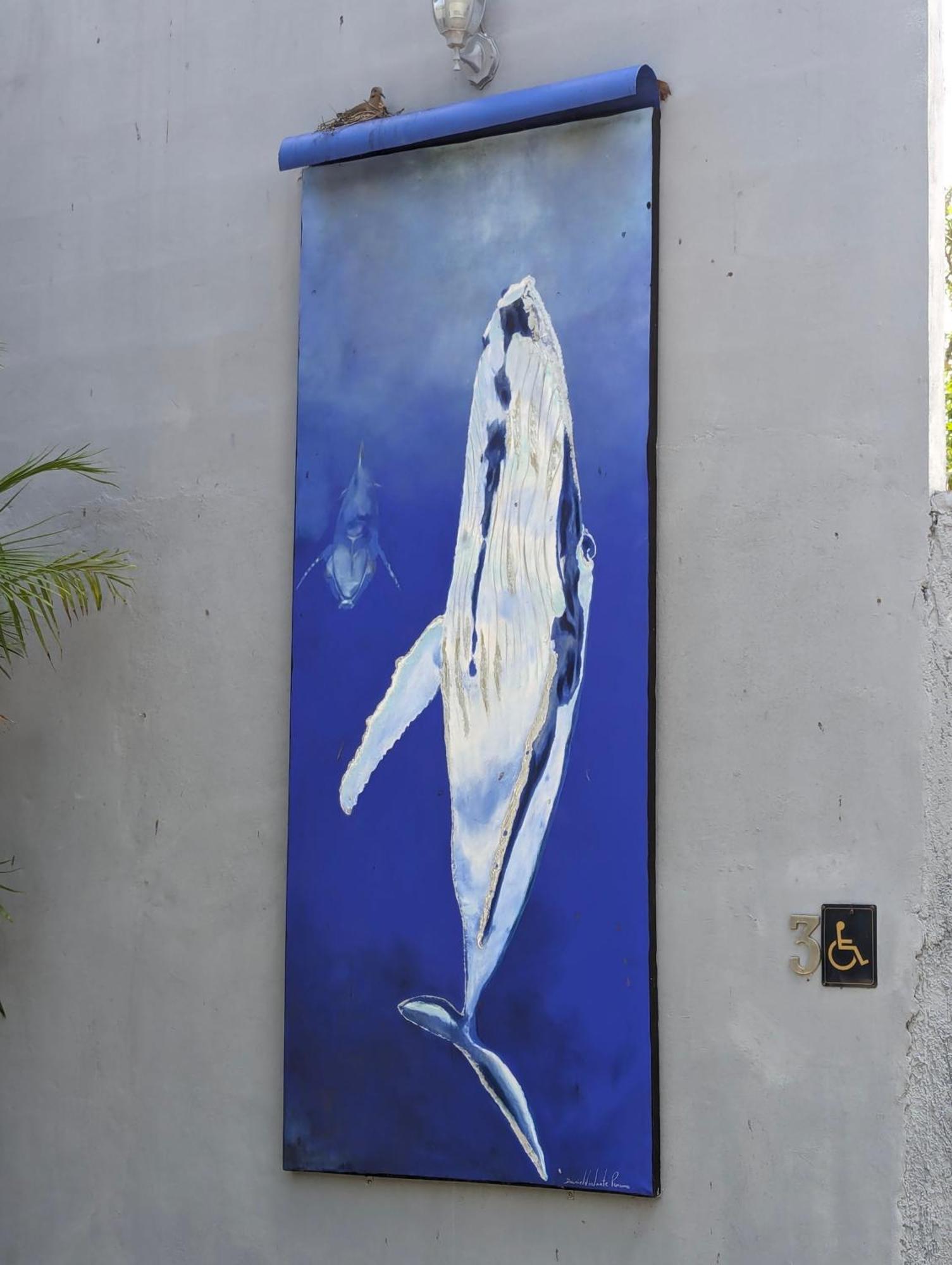 The Blue Eco Lodge Tikuch Εξωτερικό φωτογραφία